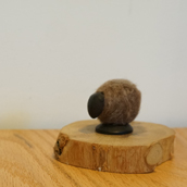 <!--{$arrProduct.name|h}-->